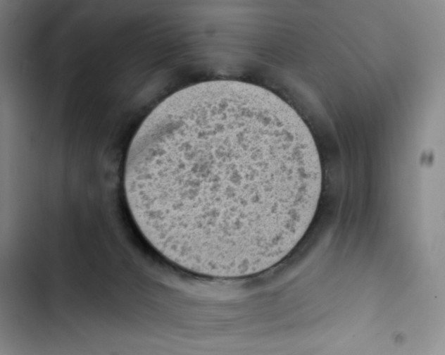 X0000102870032200809151246