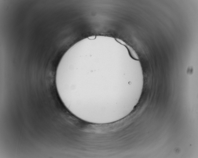X0000102870033200809151246