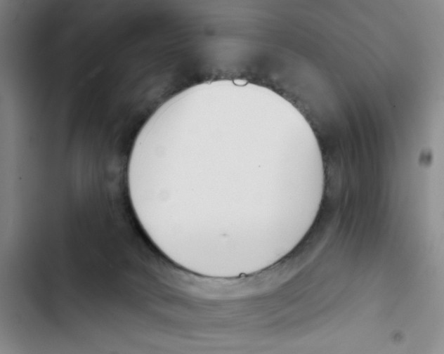 X0000102870034200809151246