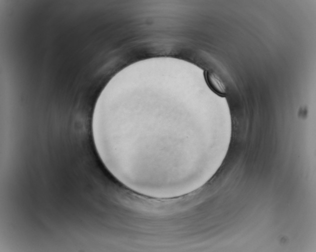 X0000102870035200809151246