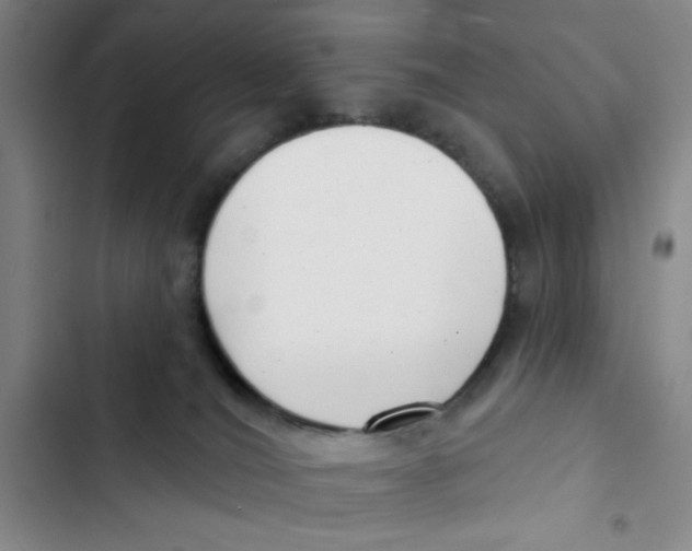 X0000102870036200809151246
