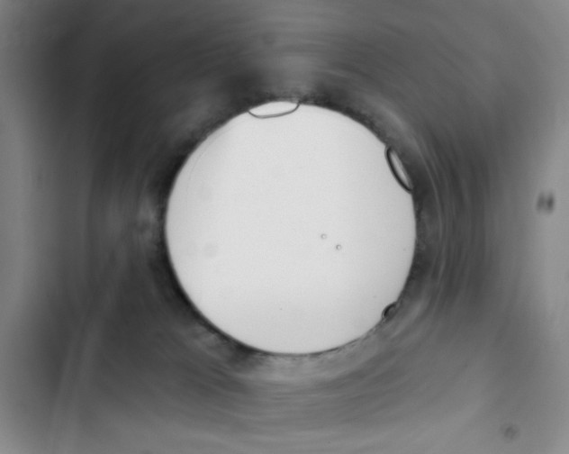 X0000102870037200809151246