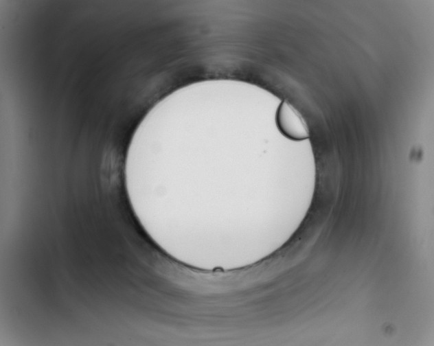 X0000102870038200809151246