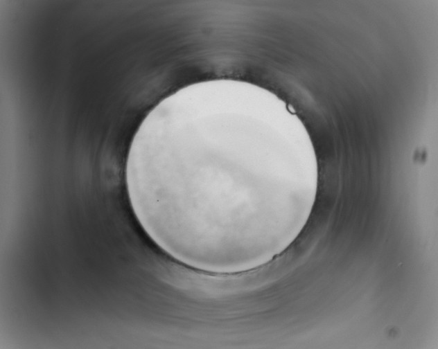 X0000102870039200809151245
