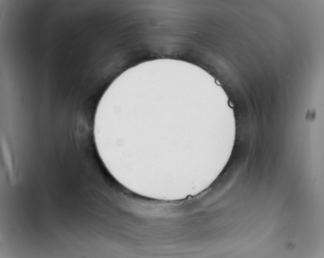 X0000102870040200809151245