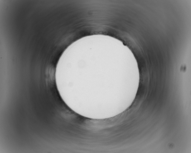 X0000102870041200809151245