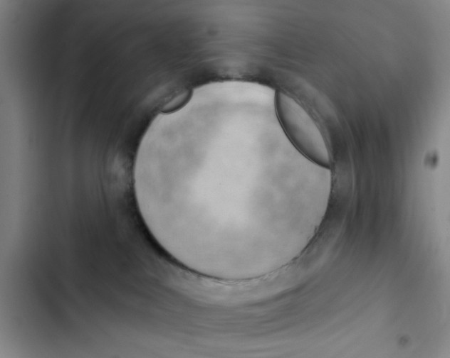 X0000102870043200809151245