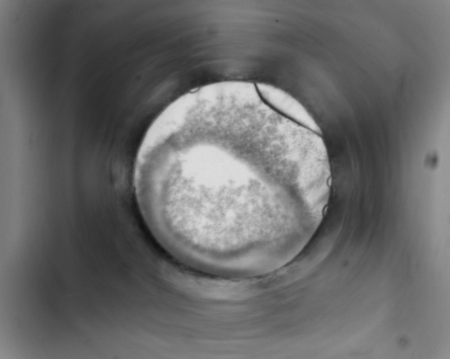 X0000102870044200809151245