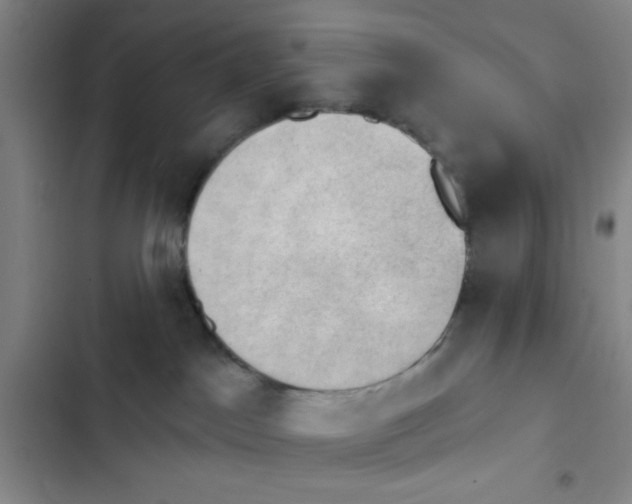 X0000102870045200809151245