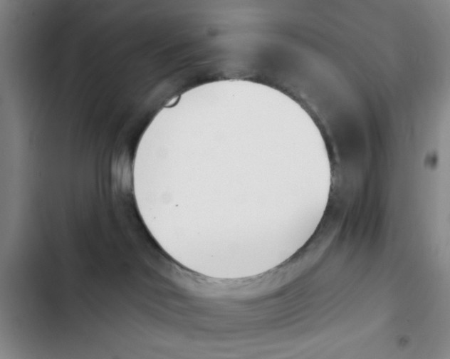 X0000102870046200809151245