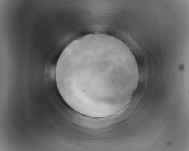 X0000102870047200809151245