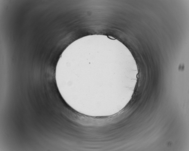 X0000102870048200809151245