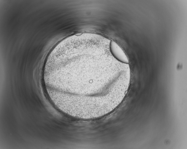 X0000102870049200809151245