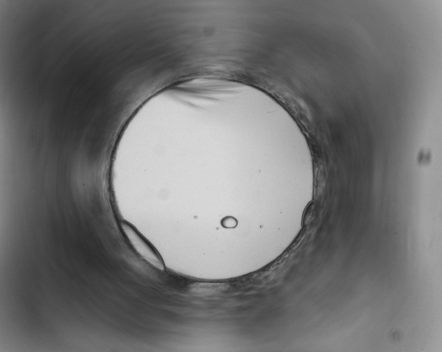 X0000102870051200809151245