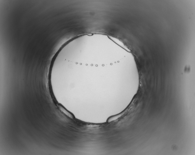 X0000102870052200809151245