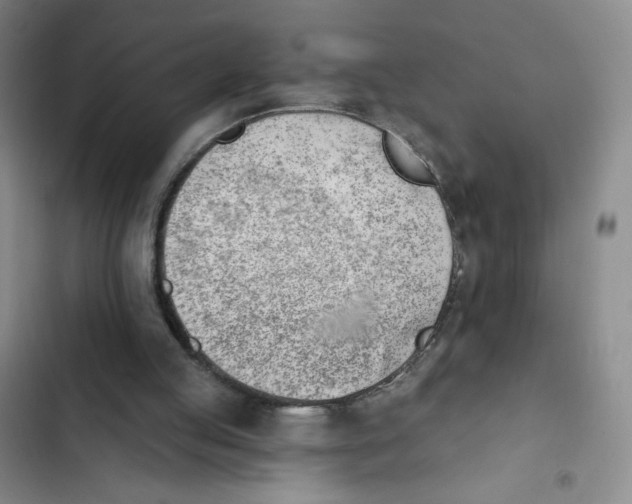 X0000102870053200809151245