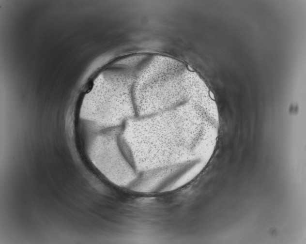 X0000102870054200809151245