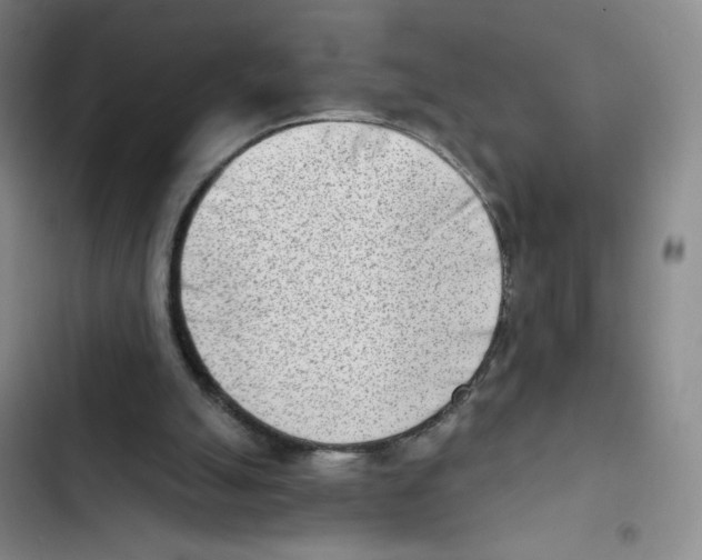 X0000102870055200809151245