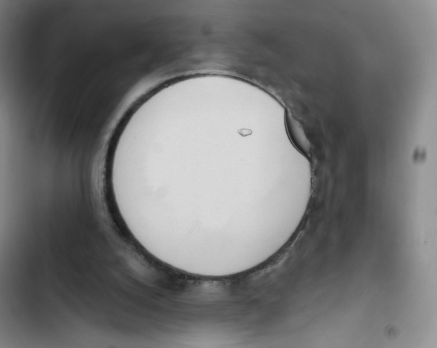 X0000102870056200809151245