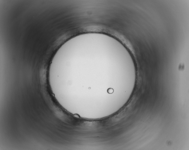 X0000102870057200809151245
