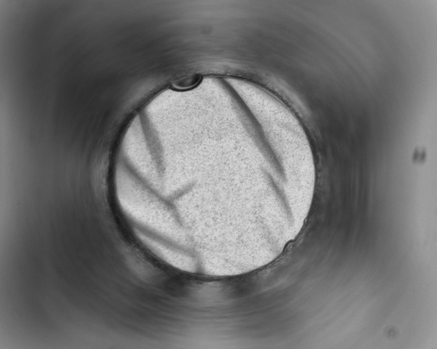 X0000102870058200809151245
