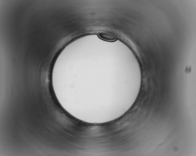 X0000102870059200809151245