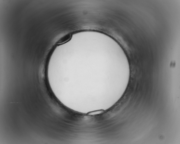 X0000102870060200809151245