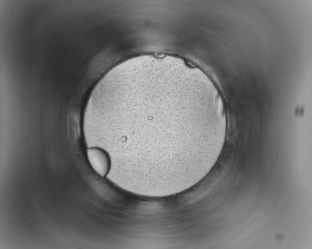 X0000102870061200809151245