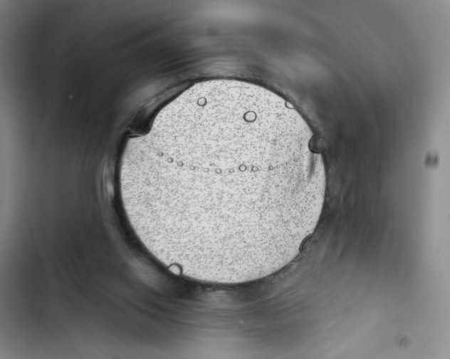 X0000102870062200809151245