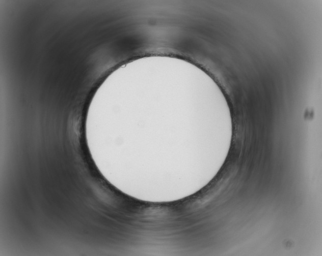 X0000102870063200809151245