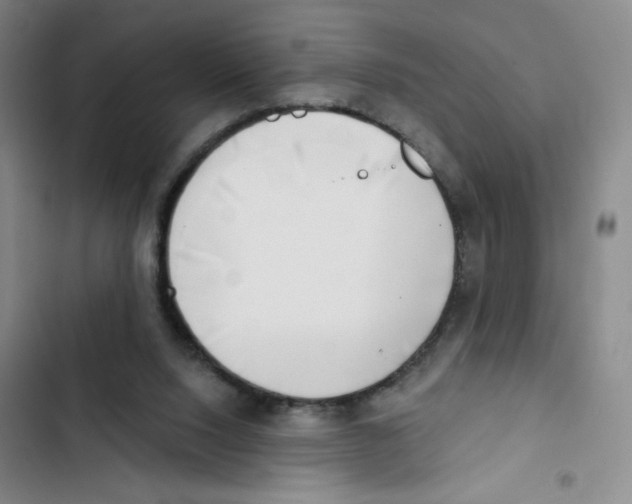 X0000102870064200809151245