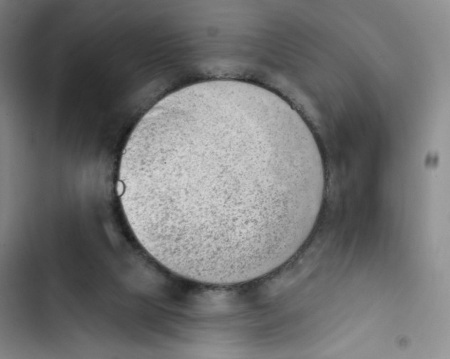 X0000102870065200809151245