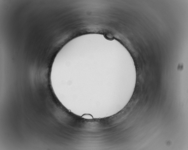 X0000102870066200809151245