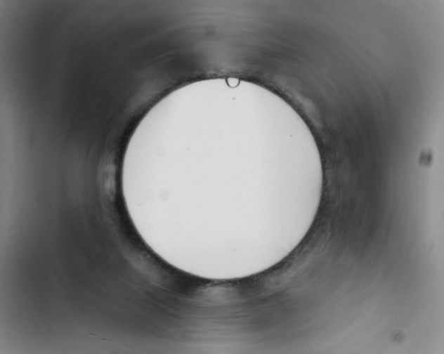 X0000102870067200809151245