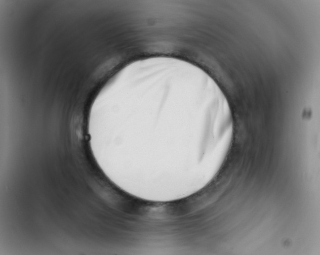 X0000102870068200809151245
