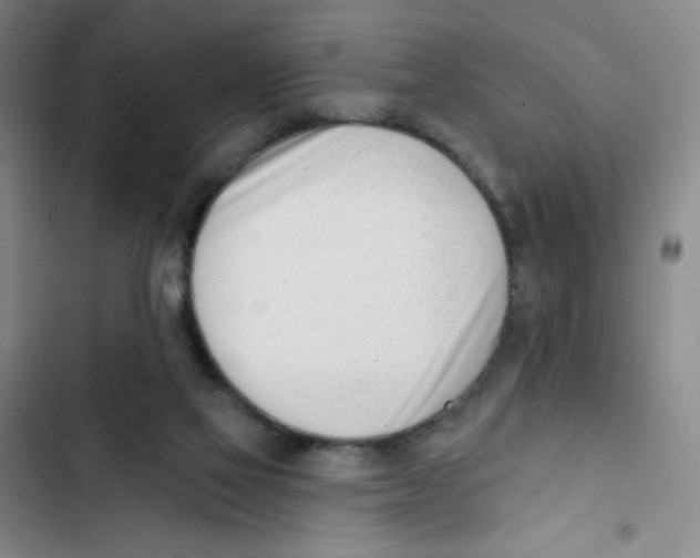 X0000102870069200809151245