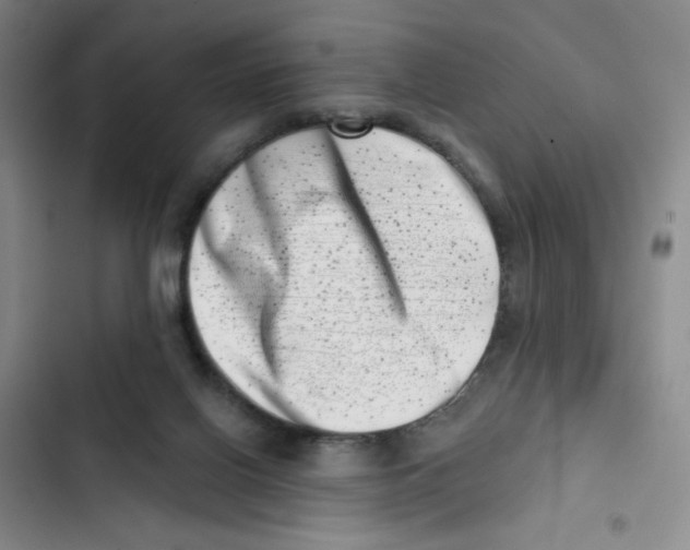 X0000102870070200809151245