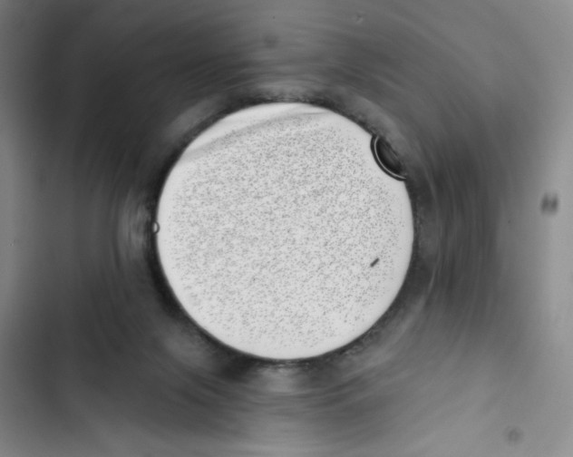 X0000102870071200809151245