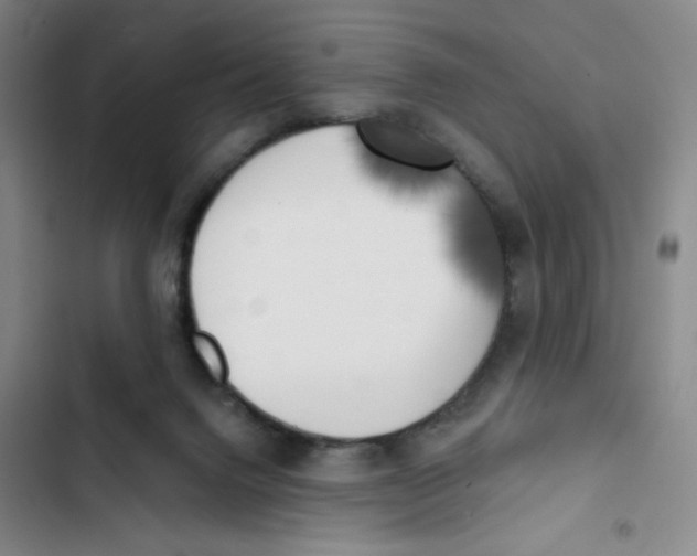 X0000102870072200809151245