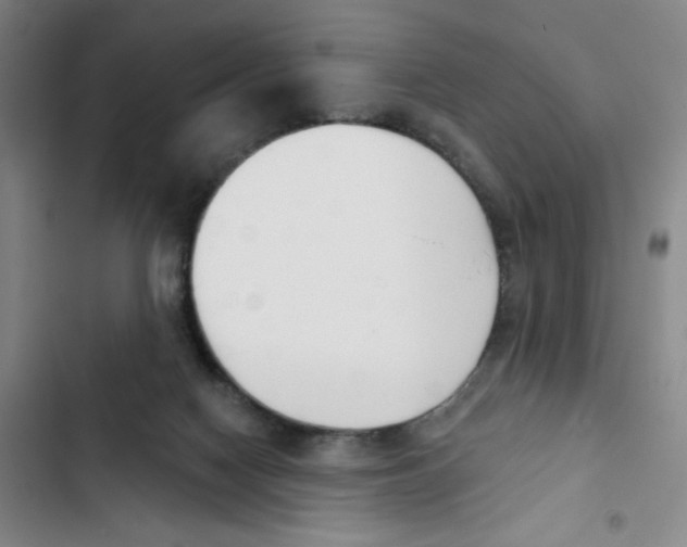 X0000102870074200809151245