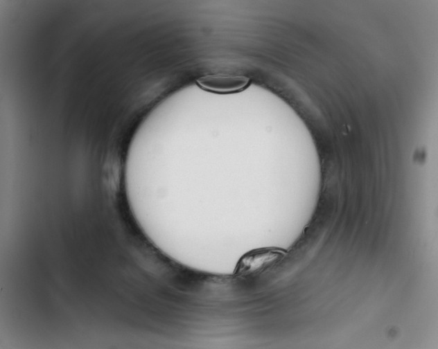 X0000102870076200809151245