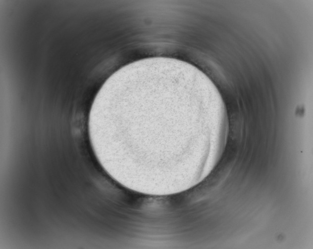 X0000102870077200809151245