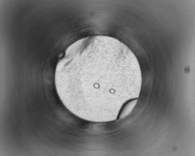 X0000102870078200809151245
