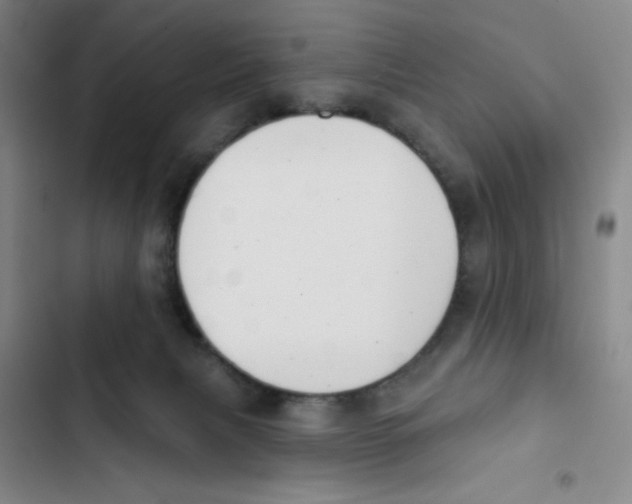 X0000102870079200809151245