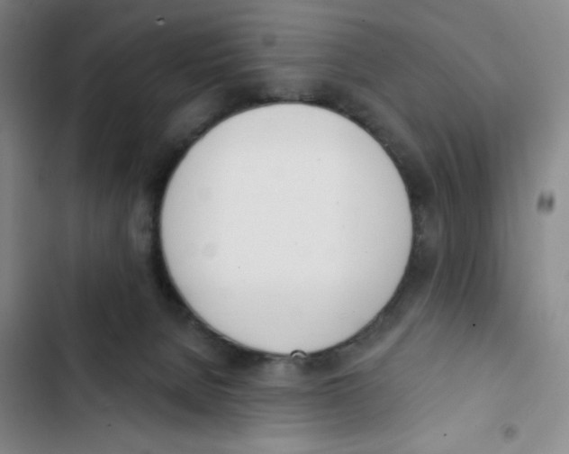 X0000102870080200809151245