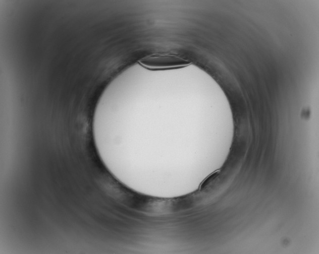 X0000102870084200809151245