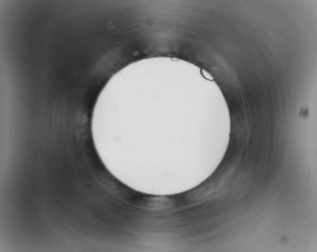 X0000102870087200809151245