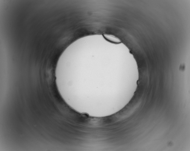X0000102870088200809151245