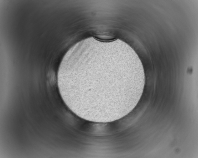 X0000102870089200809151245