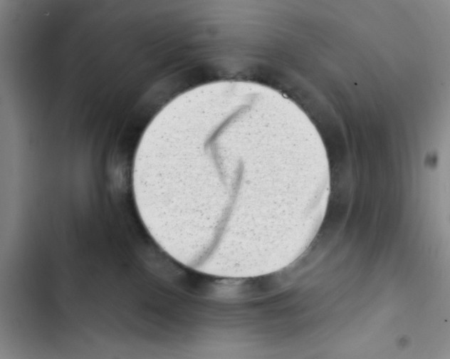 X0000102870090200809151245